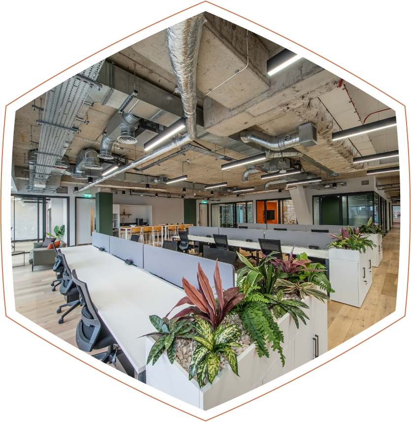 Learn more about the current availability FIND OUT MORE